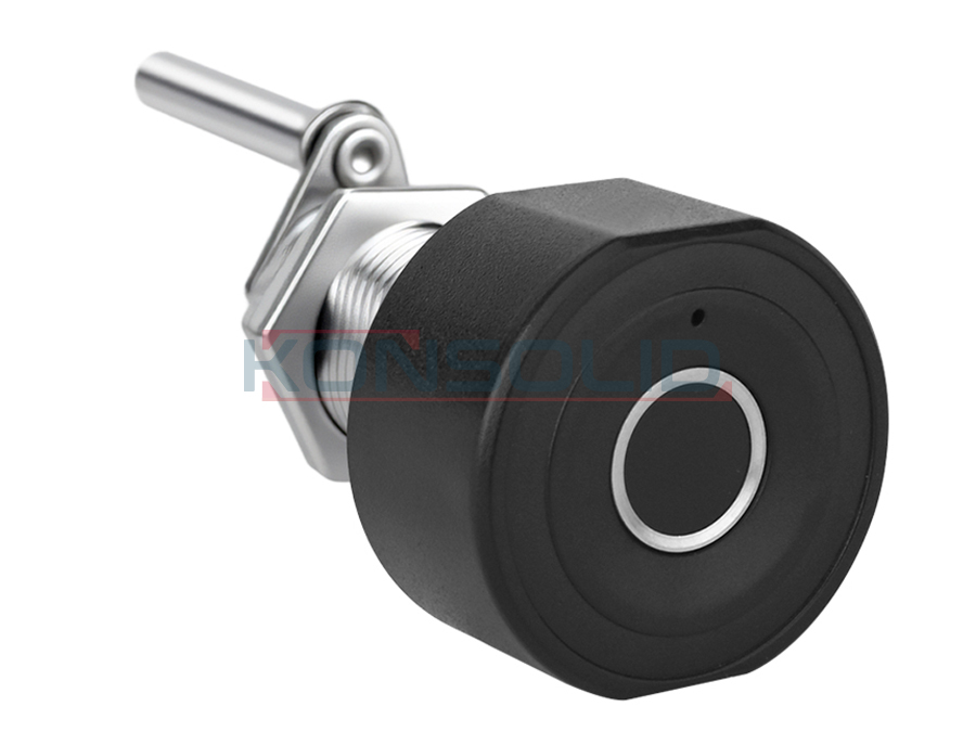 Fingerprint code lock