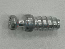 Screw